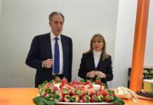 Fragola della Basilicata Igp, entro fine mese dossier al Masaf