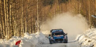 Tanak vince in Svezia, gestione gomme fondamentale