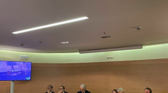 Vela, in Italia nel 2024 gli Youth Sailing World Championships