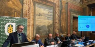 Confagricoltura e Carapelli promuovono filiera olio extravergine