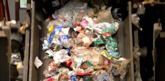 Corepla, Conai, Unionplast e Ippr uniti per plastica più riciclabile