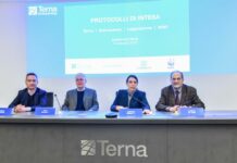 Terna con Greenpeace, Legambiente e Wwf per rete più green