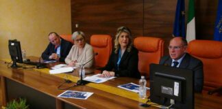 Fondo Microcredito Fse, 313 le imprese avviate in Basilicata