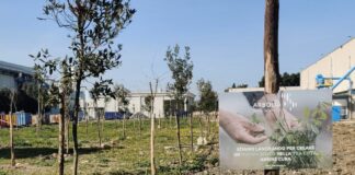 Foggia, Arbolia e Leonardo realizzano bosco urbano con 1.600 piante