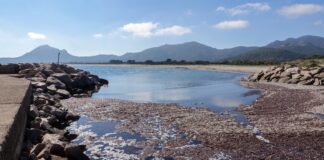 Moria di pesci a Feraxi, “dragaggio per aprire la foce”