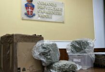 “Corrieri” sorpresi con 8 chili di marijuana a Napoli, due arresti
