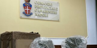 “Corrieri” sorpresi con 8 chili di marijuana a Napoli, due arresti