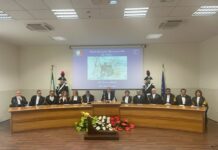 Tar Catania, Savasta “Ricorsi in calo. Sarà istituita una nuova sezione”