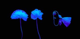 Milano, i Mummenschanz festeggiano al “Nazionale” 50 anni di successi