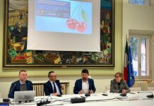 Agricoltura, ricerca e innovazione a difesa delle ciliegie di Vignola