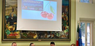 Agricoltura, ricerca e innovazione a difesa delle ciliegie di Vignola