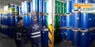 Falsi prodotti Bio, scoperta frode milionaria dalla Guardia di Finanza di Caserta