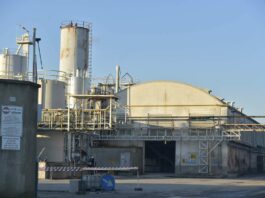 A novembre i prezzi della produzione dell’industria crescono dell’1% su base mensile