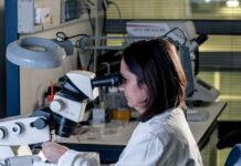 Pirelli e Università di Milano-Bicocca rinnovano la partnership nel Corimav per la ricerca su materiali e processi eco-friendly