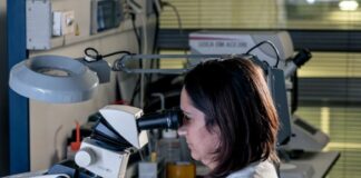 Pirelli e Università di Milano-Bicocca rinnovano la partnership nel Corimav per la ricerca su materiali e processi eco-friendly