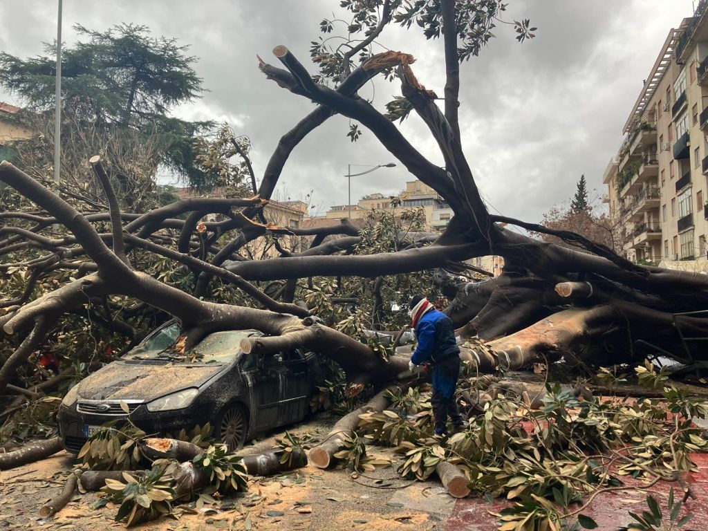 Sicilia in ginocchio per il maltempo, a Palermo cade grosso albero