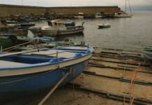 Liguria, ok del Consiglio regionale al programma triennale della pesca e dell’acquacoltura