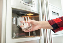 5 elettrodomestici poco diffusi in Italia macchina ghiaccio