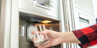 5 elettrodomestici poco diffusi in Italia macchina ghiaccio