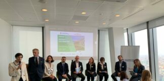 Sostenibilità, per le aziende strategie diverse ma obiettivi comuni