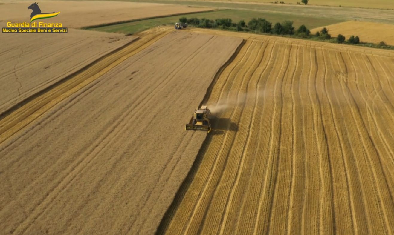 Pirateria agroalimentare, sequestrate 382 tonnellate di cereali in Puglia e Sicilia