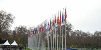 Council of Europe, increase of detained journalists