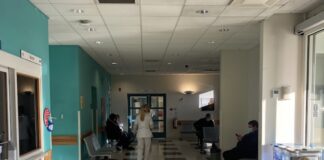 Malta, circulatory system diseases most common cause of deaths