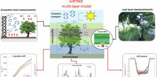 Città più verdi e aria più pulita con il software Airtree