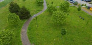 Snam azionista unico di Arbolia, acquisito il 49% da Fondazione Cdp