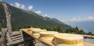 Lombardia, Bitto e Casera dop. Crescono valore e notorietà