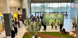 A Trieste Olio Capitale 2023, vetrina per produzioni di qualità