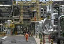 Gse, Vinicio Mosè Vigilante nominato Amministratore Delegato