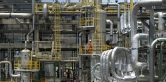 Gse, Vinicio Mosè Vigilante nominato Amministratore Delegato