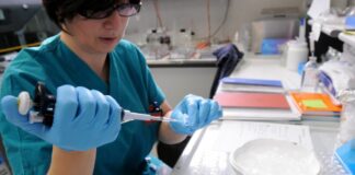 A Palermo un workshop su linfomi maligni e terapie innovative