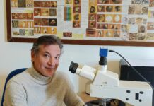 Clima, docente UniPa tra autori ricerca pubblicata su Nature Communications