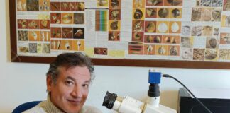 Clima, docente UniPa tra autori ricerca pubblicata su Nature Communications