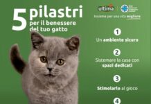 Ultima Petfood ed Enpa insieme in un progetto per gatti e cani