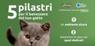 Ultima Petfood ed Enpa insieme in un progetto per gatti e cani