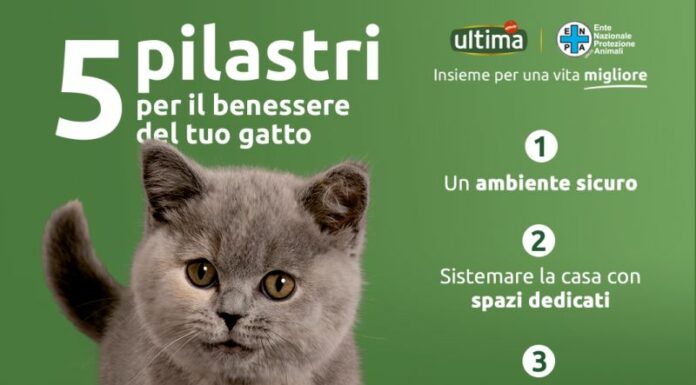 Ultima Petfood ed Enpa insieme in un progetto per gatti e cani