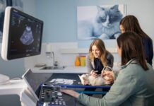 Cure veterinarie, AniCura inaugura una nuova sede a Bergamo