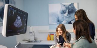 Cure veterinarie, AniCura inaugura una nuova sede a Bergamo