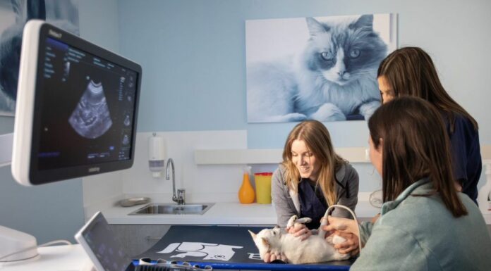 Cure veterinarie, AniCura inaugura una nuova sede a Bergamo