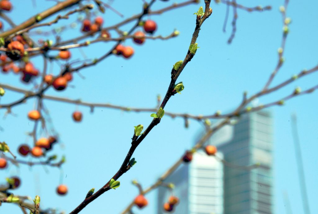 Milano, Assiteca-Howden a sostegno della Biblioteca degli Alberi