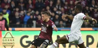 Salernitana e Bologna si dividono la posta, 2-2 all’Arechi