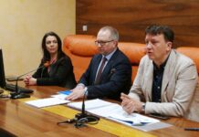 Mercato lavoro in Basilicata, Galella “Partire dai dati per programmare”