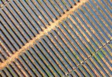 Egp, nascerà a Tarquinia impianto agrivoltaico più grande d’Italia