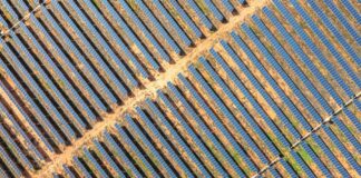 Egp, nascerà a Tarquinia impianto agrivoltaico più grande d’Italia