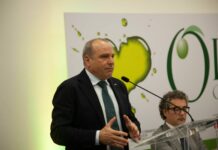 Olio Campania è Igp, Amore “Inizia percorso di valorizzazione”