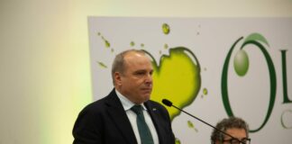 Olio Campania è Igp, Amore “Inizia percorso di valorizzazione”