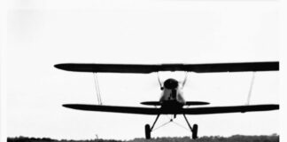 Milano, a Palazzo Reale da domani apre mostra “Helmut newton. Legacy”